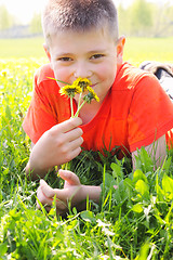 Image showing Boy on meadow grass smelling dandelions