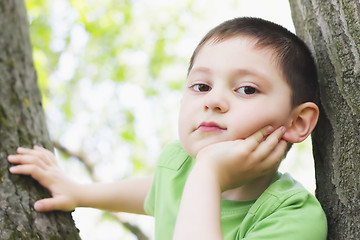 Image showing Cute boy between trees