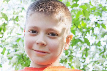 Image showing Cute boy under tree