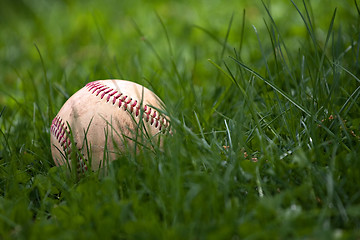 Image showing Baseball in the Grass