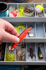 Image showing Choosing the Right Fishing Lure