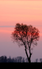 Image showing Lithuania sunset