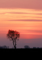 Image showing Lithuania sunset