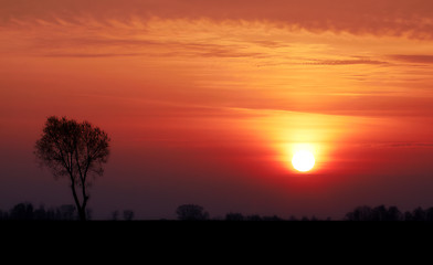 Image showing Lithuania sunset