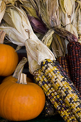 Image showing Autumn Harvest