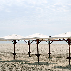 Image showing Umbrellas