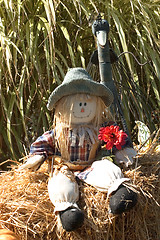 Image showing Halloween decoration with scarecrow and bird.