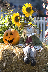 Image showing Halloween decoration with scarecrow, pumpkin and sunflowers.