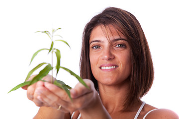 Image showing Woman holding a green plant