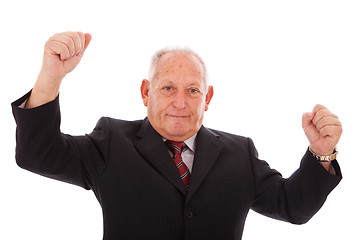 Image showing successful senior businessman