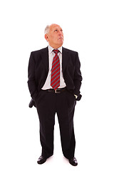 Image showing Full senior businessman