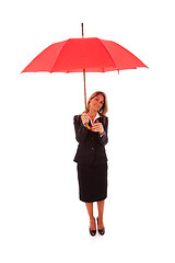 Image showing Insurance businesswoman