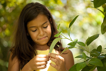 Image showing young child enjoying nature