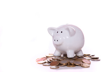 Image showing Wealthy piggy bank 