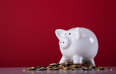 Image showing Wealthy piggy bank 