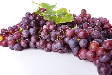 Image showing branch of grapes