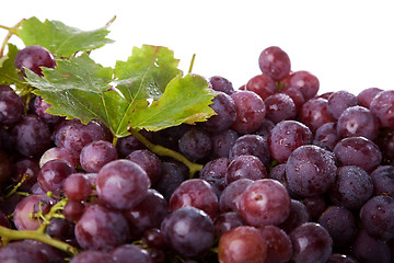 Image showing branch of grapes