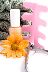 Image showing pedicure beauty set