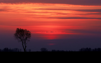 Image showing Lithuania sunset