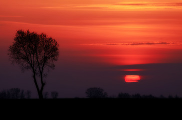 Image showing Lithuania sunset