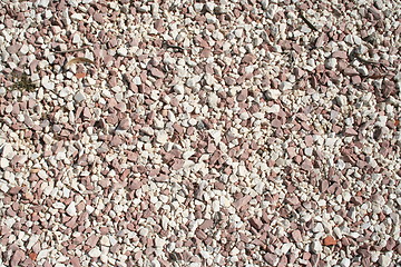 Image showing Shingle