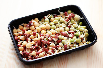 Image showing vegetable sprouts