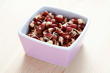 Image showing kidney beans sprouts