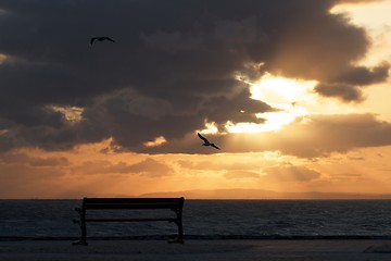 Image showing Ocean view 