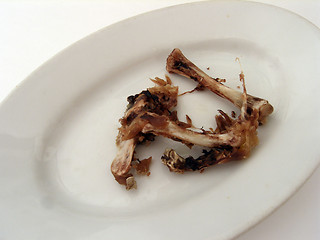 Image showing chicken bones