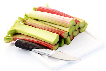 Image showing fresh rhubarb