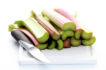 Image showing fresh rhubarb