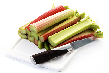 Image showing fresh rhubarb