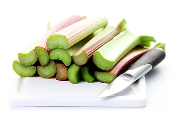 Image showing fresh rhubarb