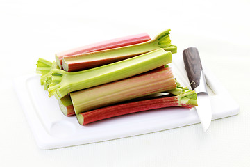 Image showing fresh rhubarb