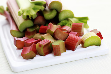 Image showing fresh rhubarb