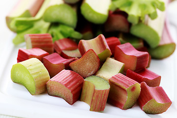 Image showing fresh rhubarb