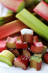 Image showing fresh rhubarb