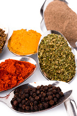 Image showing various ground spices