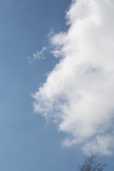 Image showing Blue sky with cloud