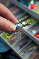 Image showing Choosing the Right Fishing Lure