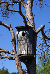 Image showing Rustic Bird House