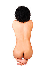 Image showing Nude girl from the back.