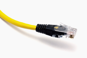 Image showing Computer Network Cable 