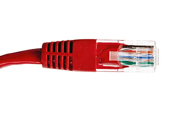 Image showing Red network plug