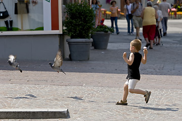 Image showing Boy hunting pigeon