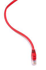 Image showing Computer Network Cable