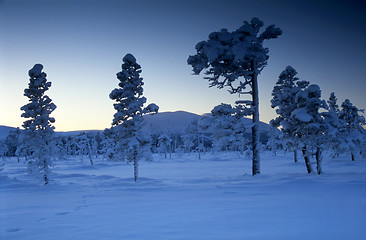 Image showing Cold winter day