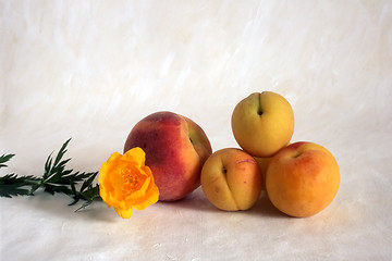 Image showing peaches with flower on painted background