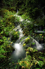 Image showing Mountain stream