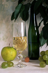 Image showing A glass of white wine